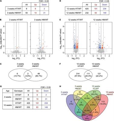 Gene Dosage- and Age-Dependent Differential Transcriptomic Changes in the Prefrontal Cortex of Shank2-Mutant Mice